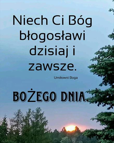 Na dzień dobry - IMG-20231119-WA0000.jpg