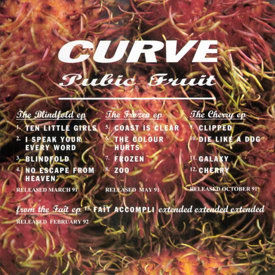 1992 - Pubic Fruit - folder.jpg